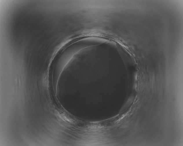 X0000071770200200607071310