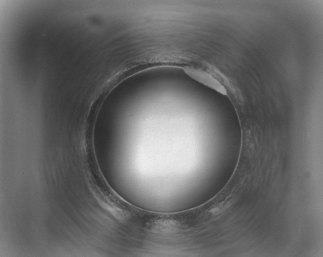 X0000071770203200607071310