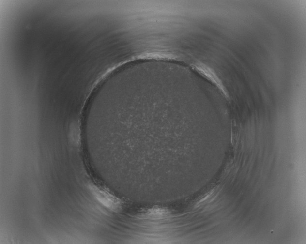 X0000071770204200607071310