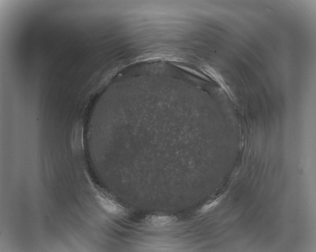 X0000071770205200607071310