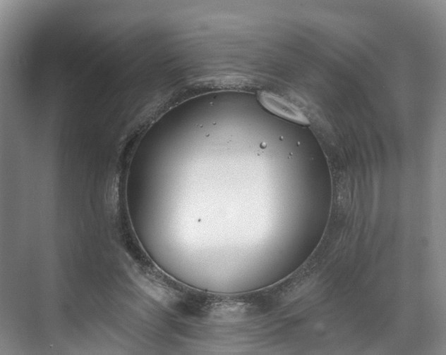 X0000071770206200607071310