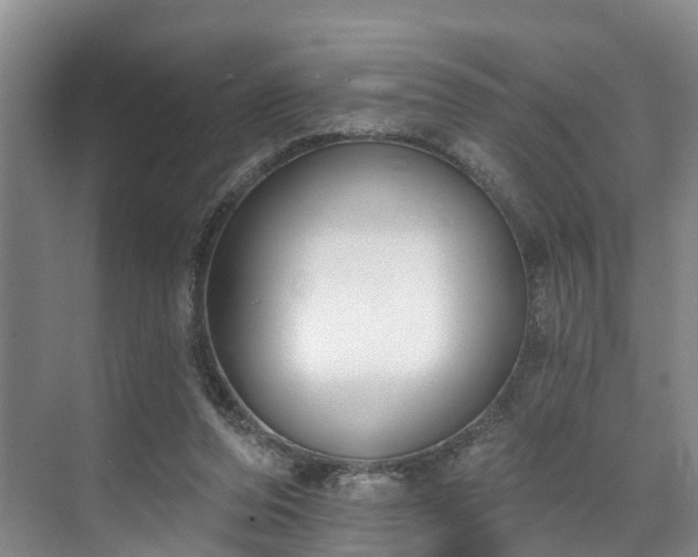 X0000071770208200607071310