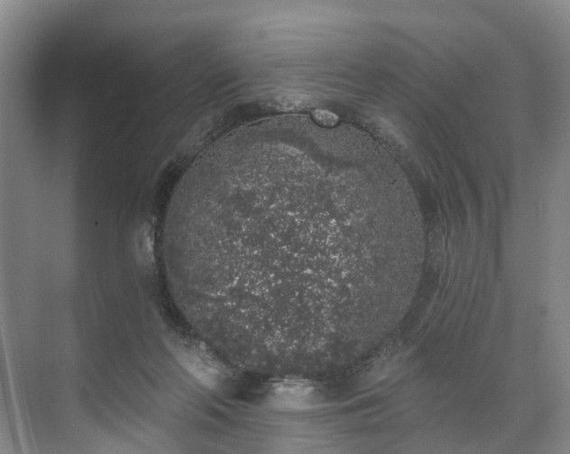 X0000071770214200607071310