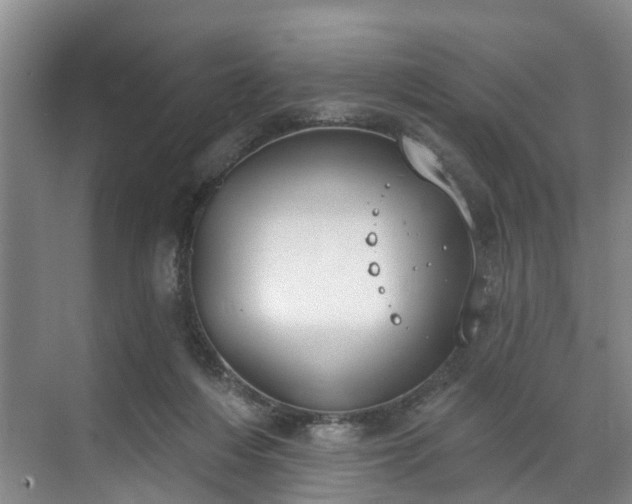 X0000071770216200607071310