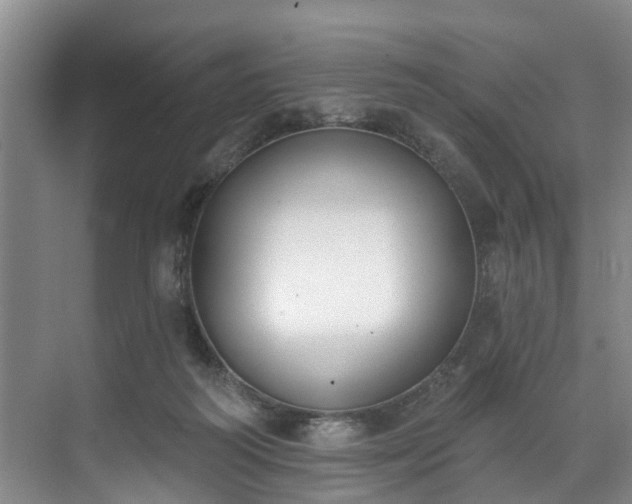 X0000071770218200607071310