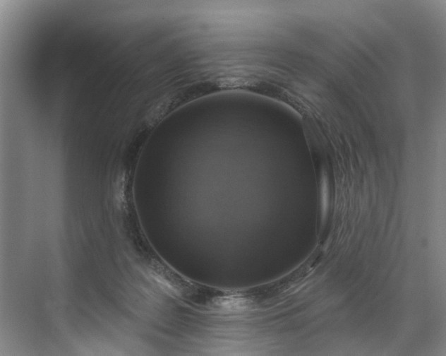 X0000071770219200607071310