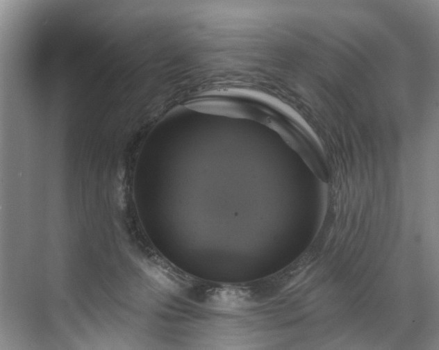 X0000071770223200607071310