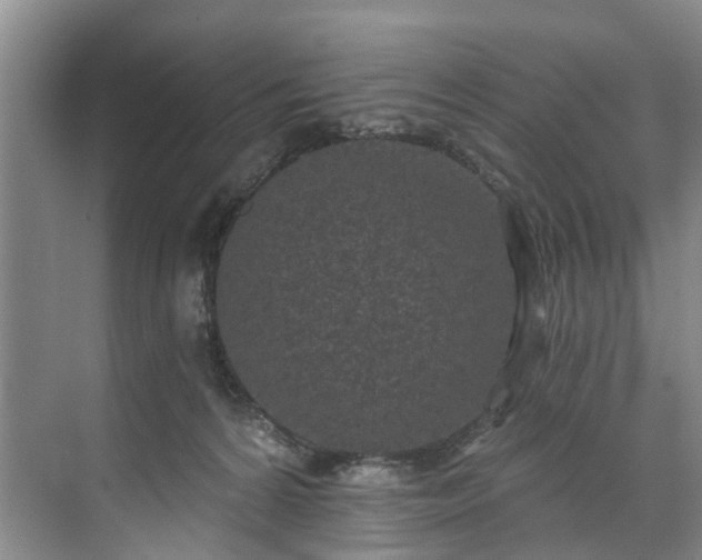 X0000071770224200607071310