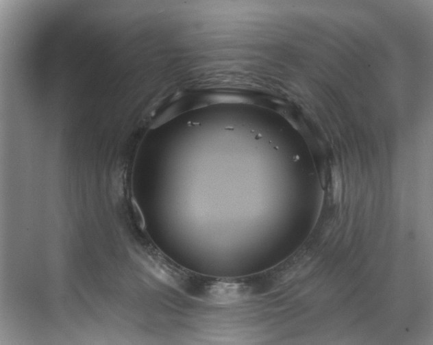 X0000071770227200607071310