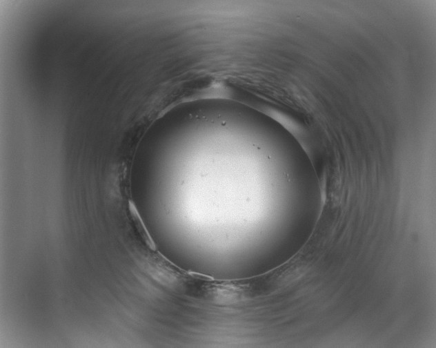 X0000071770229200607071310