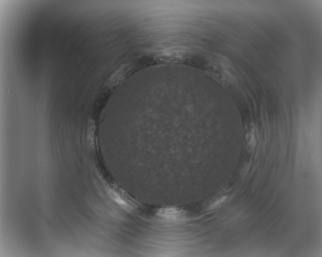 X0000071770231200607071310