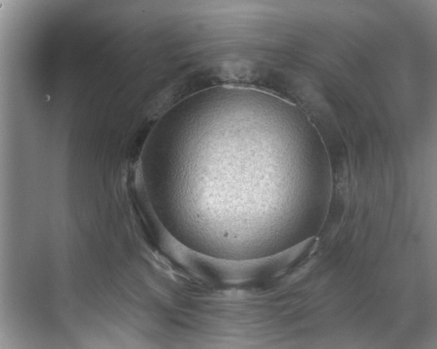 X0000071770233200607071310