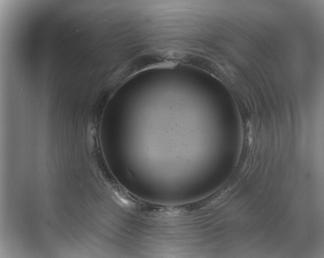 X0000071770235200607071310