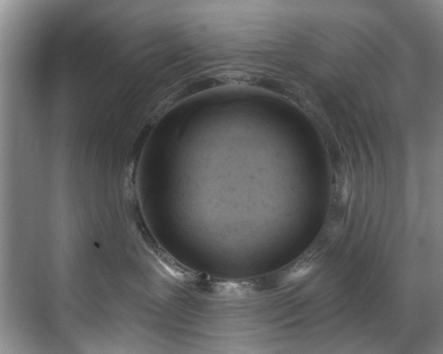 X0000071770239200607071309