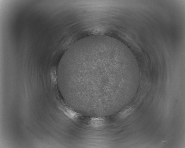 X0000071770240200607071309