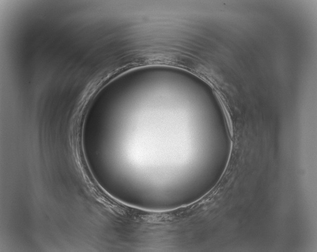 X0000071770241200607071309