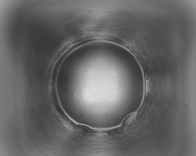 X0000071770243200607071309