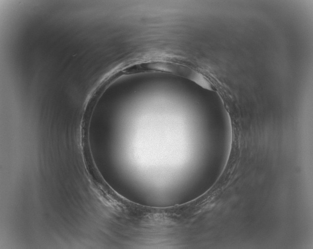 X0000071770244200607071309