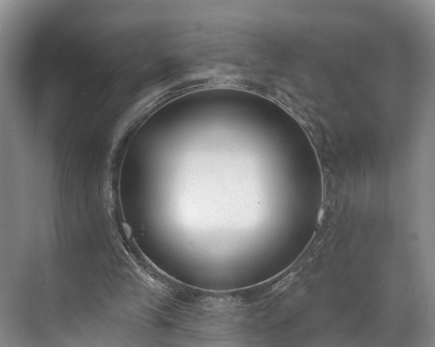 X0000071770245200607071309