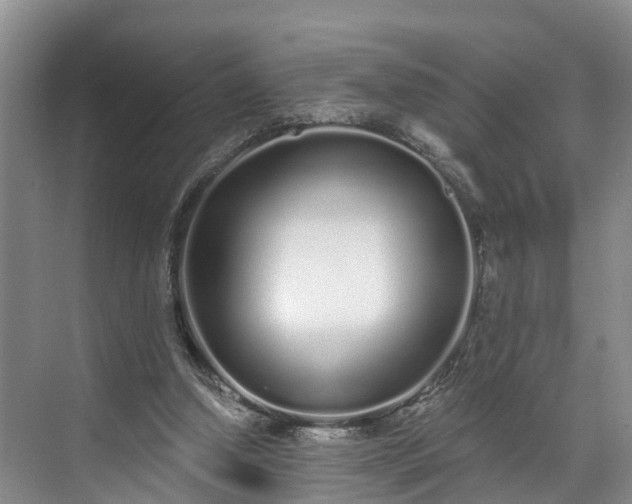 X0000071770250200607071309