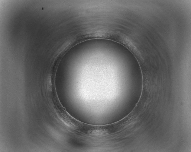 X0000071770251200607071309