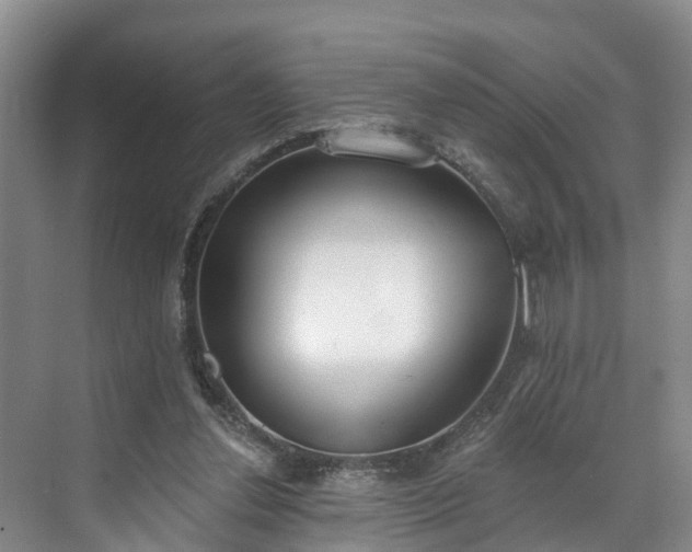 X0000071770252200607071309