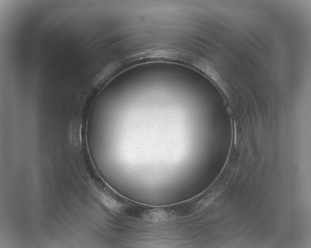 X0000071770253200607071309