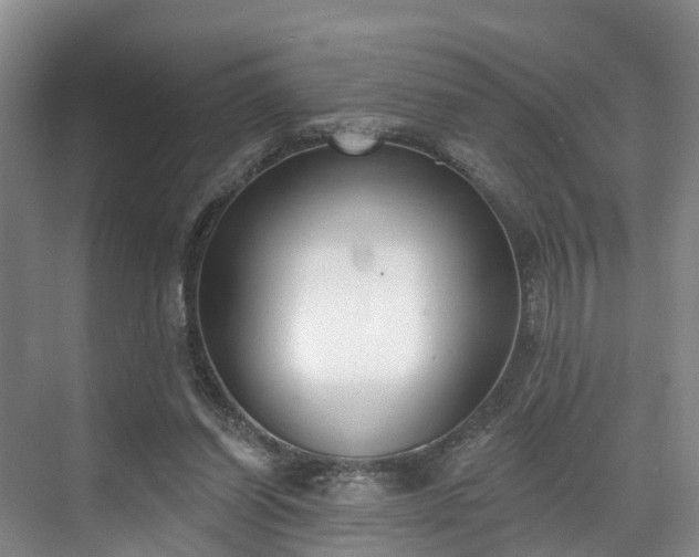 X0000071770254200607071309