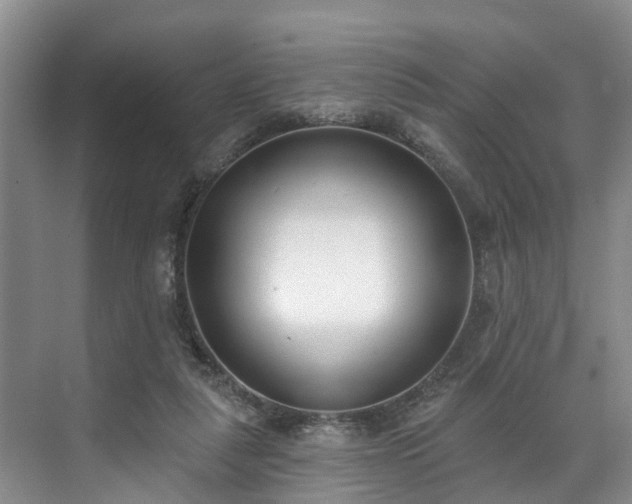 X0000071770259200607071309