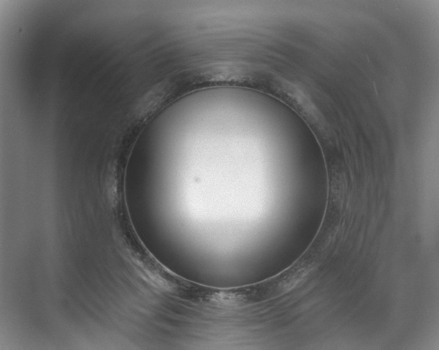 X0000071770261200607071309