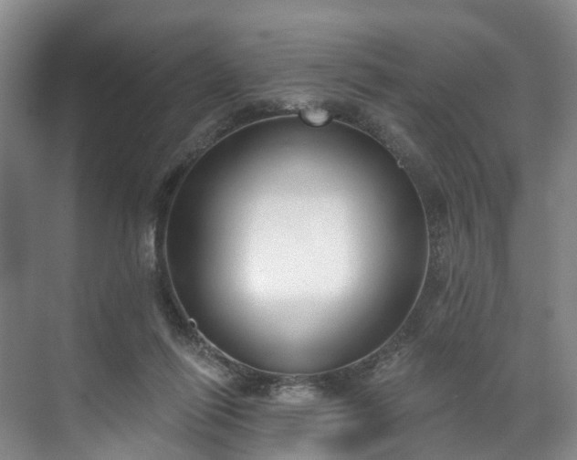 X0000071770262200607071309