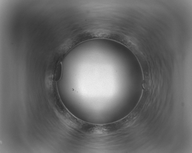 X0000071770263200607071309