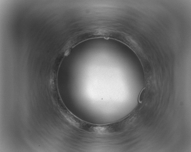 X0000071770265200607071309