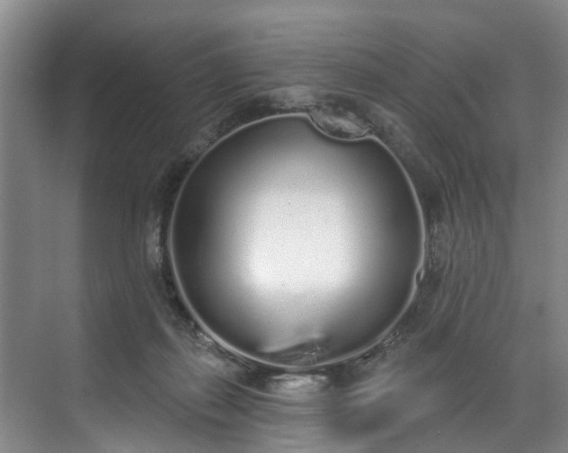 X0000071770267200607071309