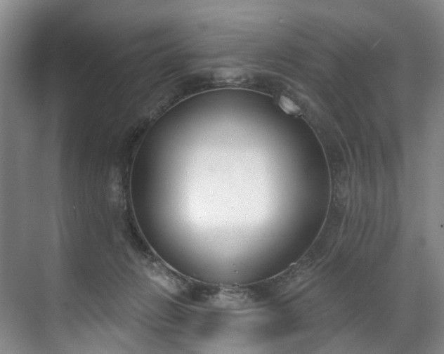 X0000071770270200607071309