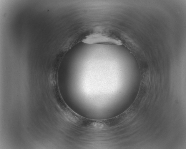 X0000071770272200607071309