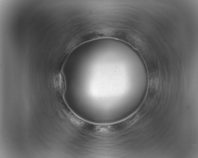 X0000071770285200607071309