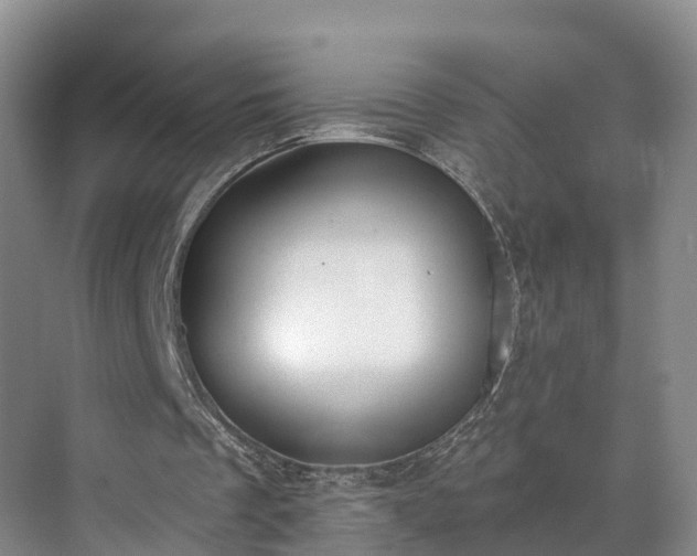 X0000071770289200607071309