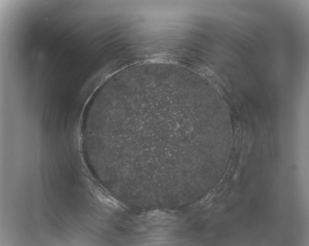 X0000071770290200607071309