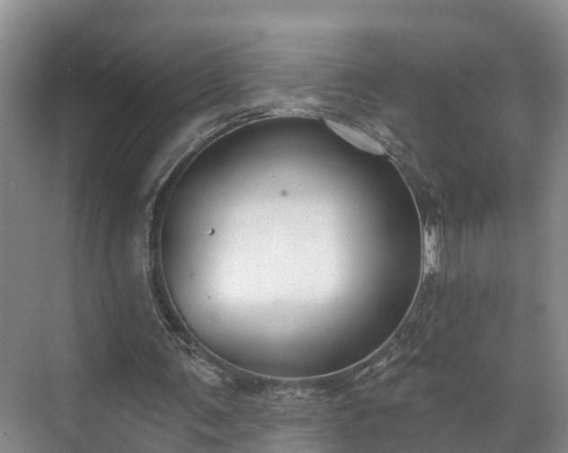 X0000071770291200607071309