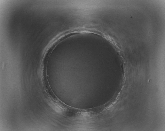 X0000071770295200607071309