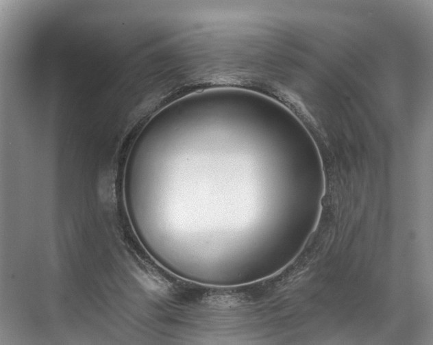 X0000071770299200607071308