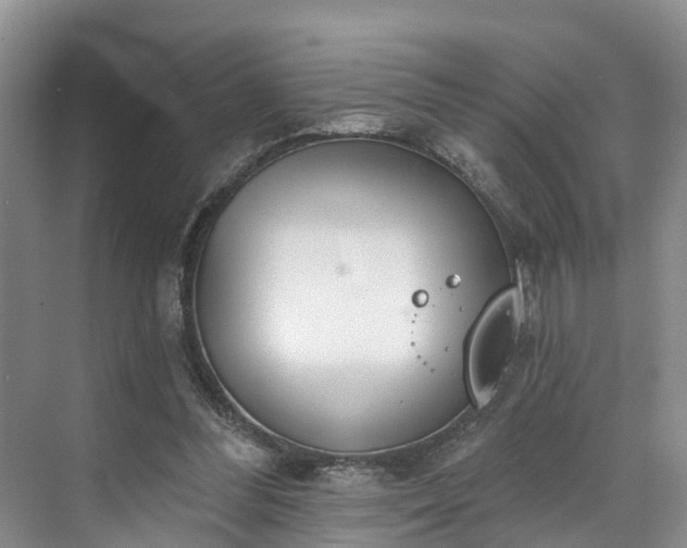 X0000071770300200607071308