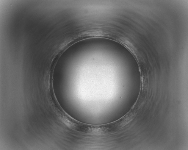 X0000071770301200607071308