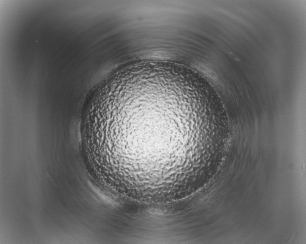 X0000071770302200607071308