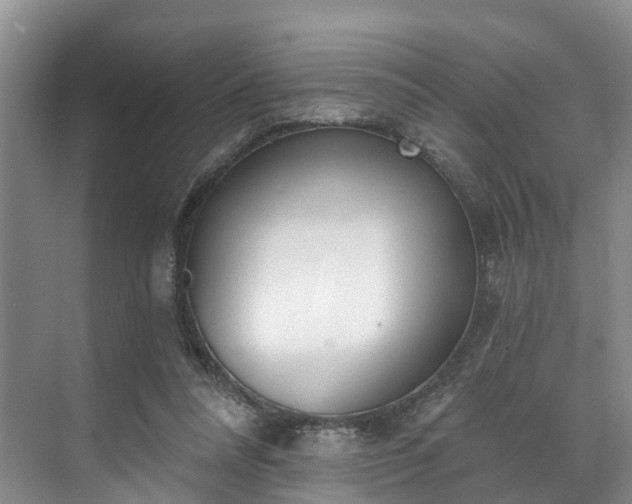 X0000071770304200607071308