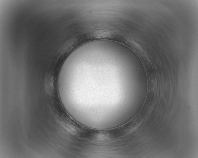 X0000071770308200607071308