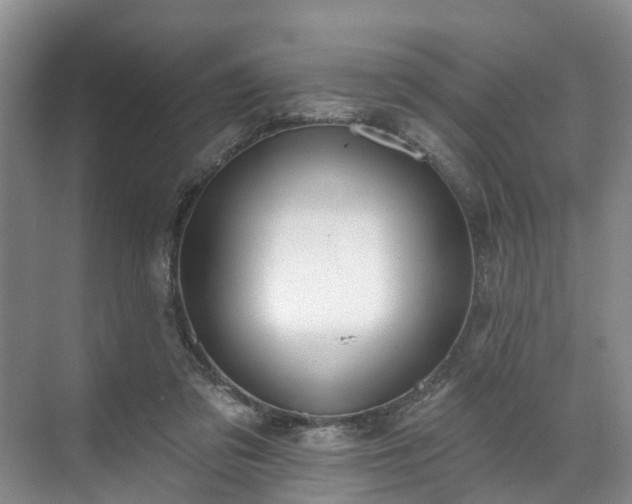 X0000071770309200607071308