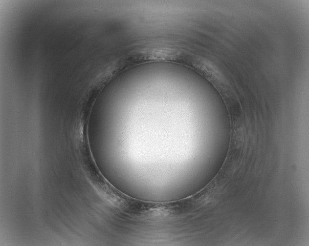 X0000071770310200607071308