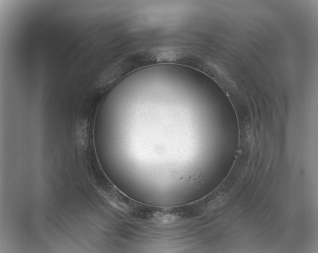 X0000071770311200607071308